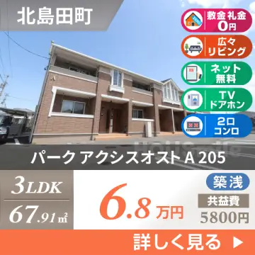 パーク アクシスオスト A 205