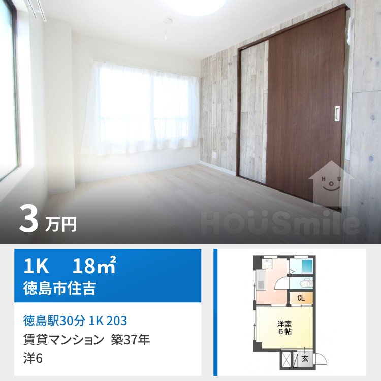 徳島駅30分 1K 203