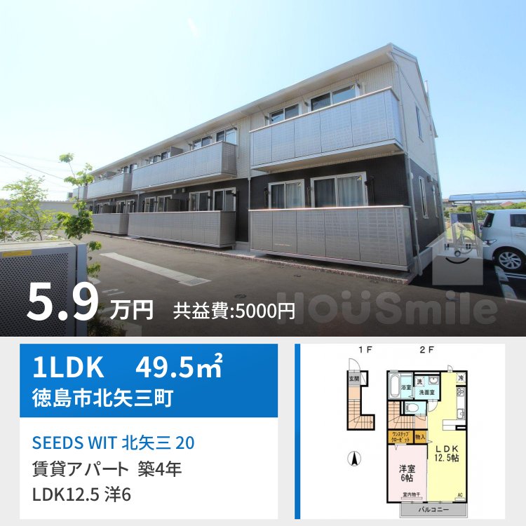 SEEDS WIT 北矢三 206