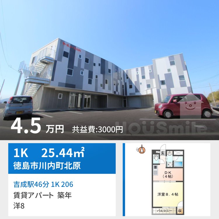 吉成駅46分 1K 206
