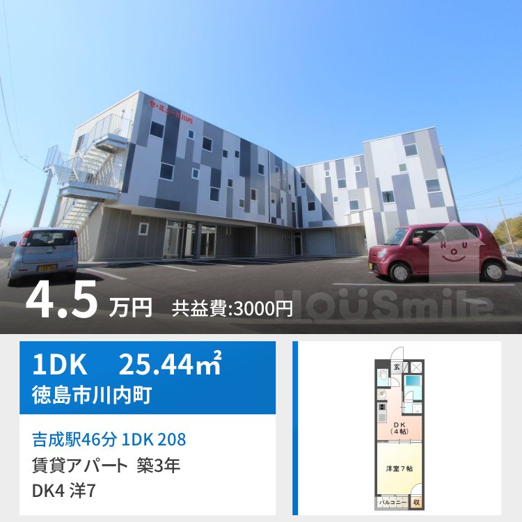 吉成駅46分 1DK 208