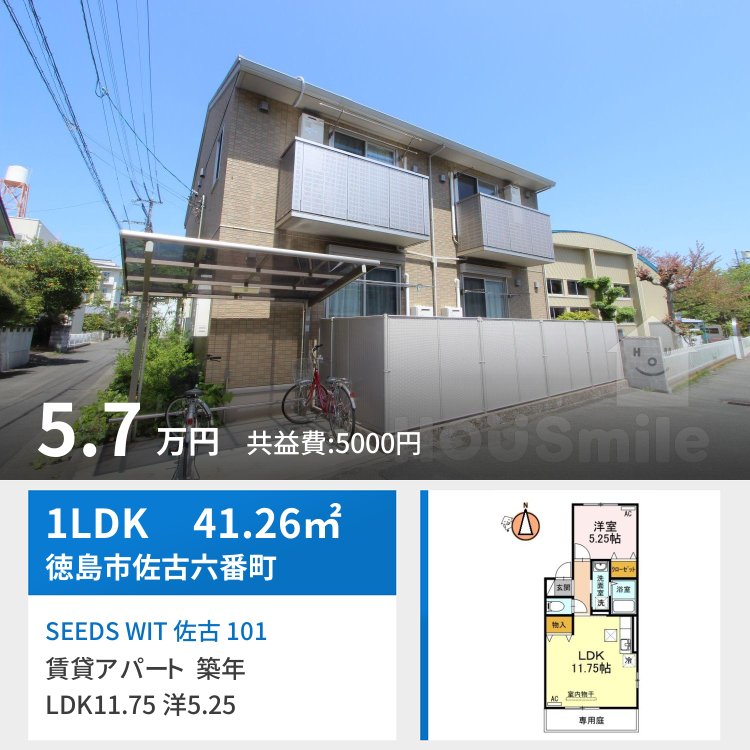SEEDS WIT 佐古 101