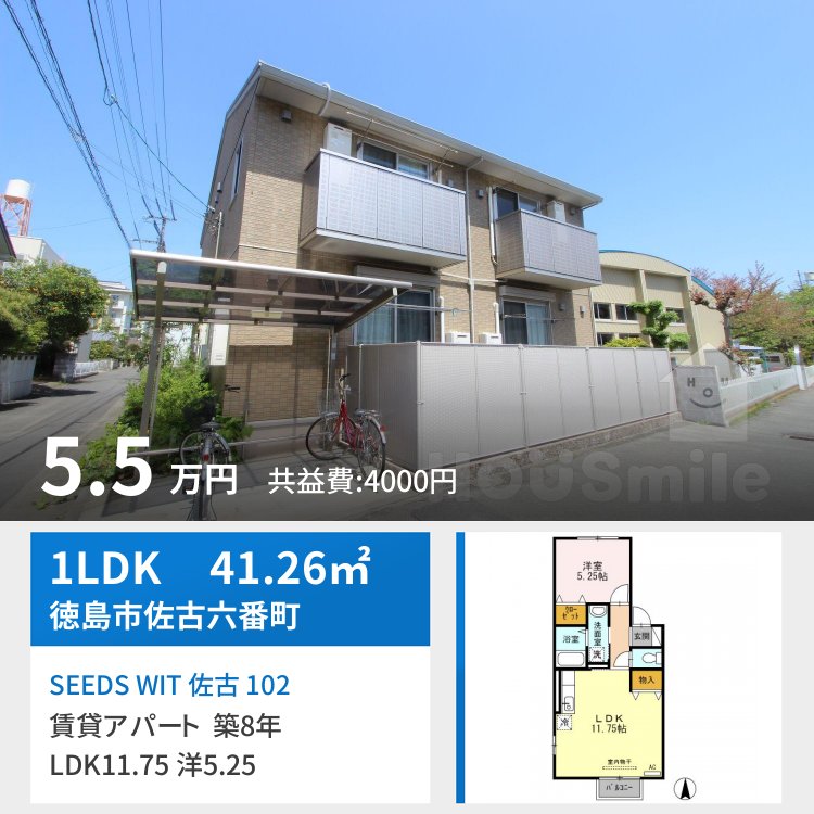 SEEDS WIT 佐古 102