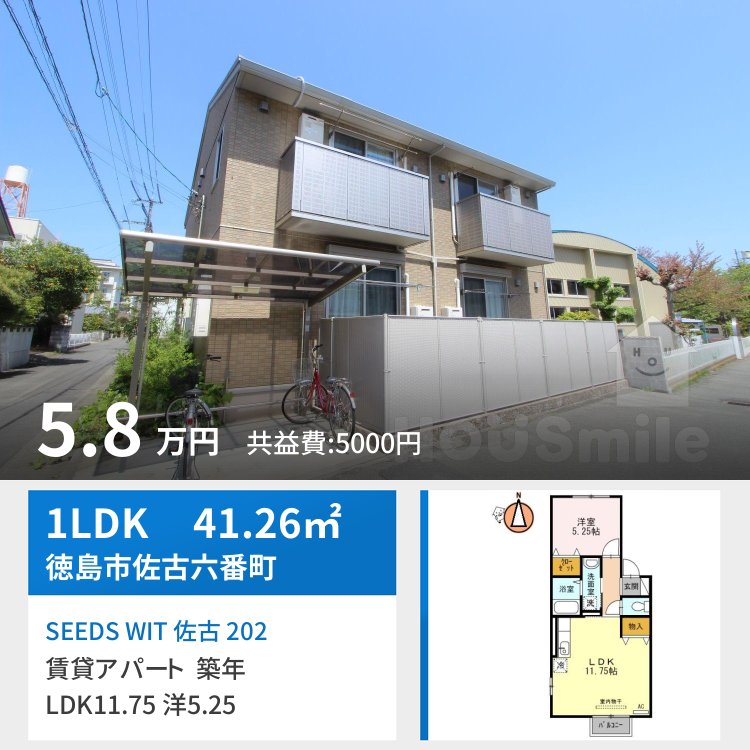 SEEDS WIT 佐古 202