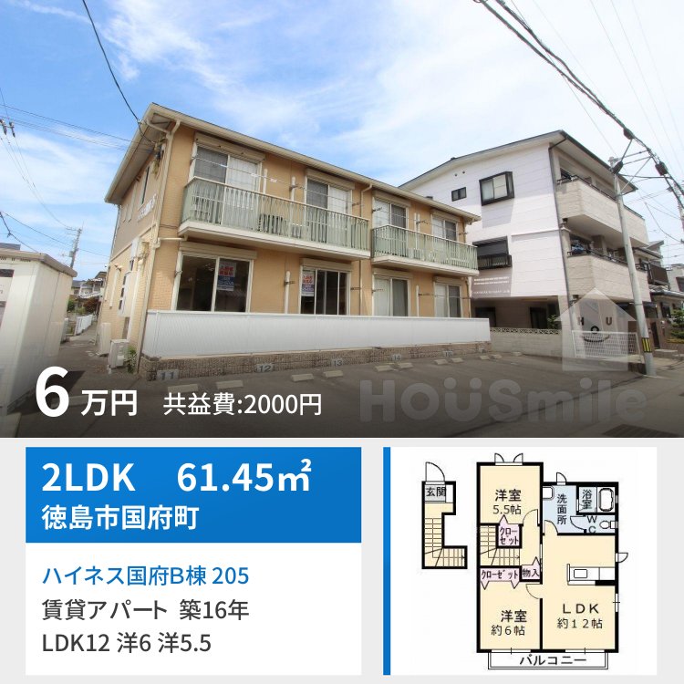 ハイネス国府B棟 205