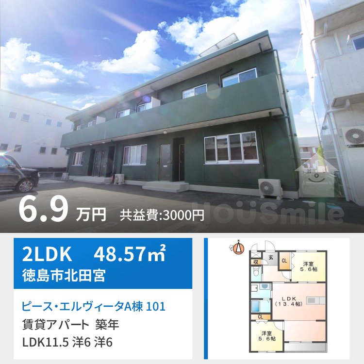 ピース・エルヴィータA棟 101