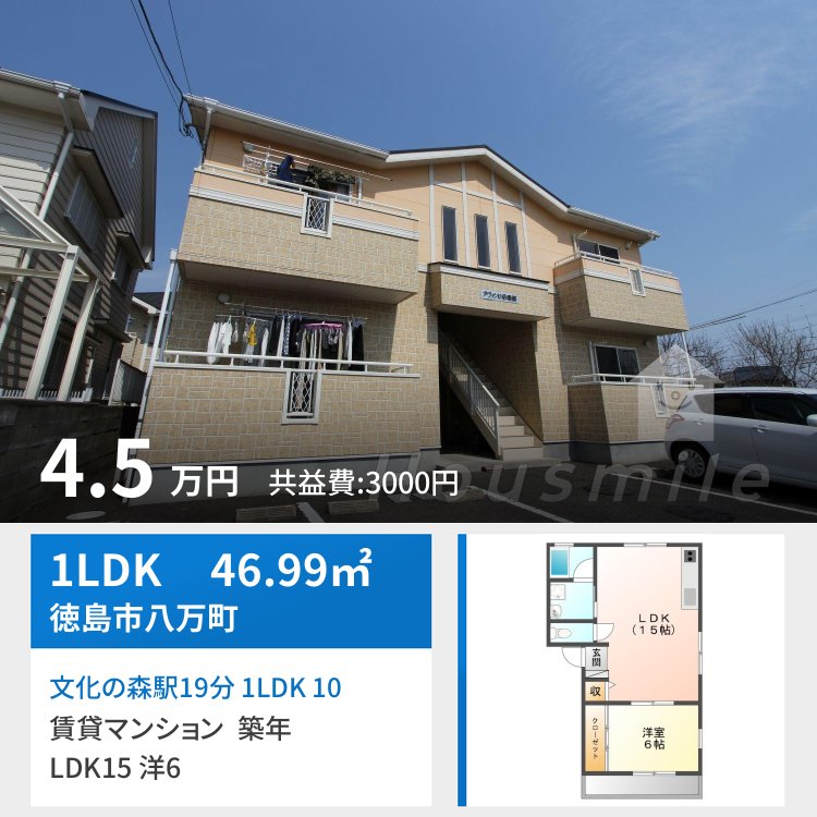 文化の森駅19分 1LDK 102