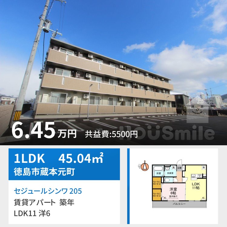 セジュールシンワ 205