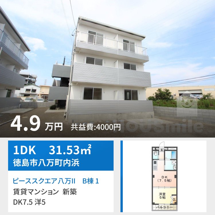 ピーススクエア八万II B棟 101