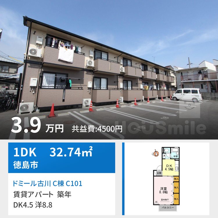 ドミール古川 C棟 C101