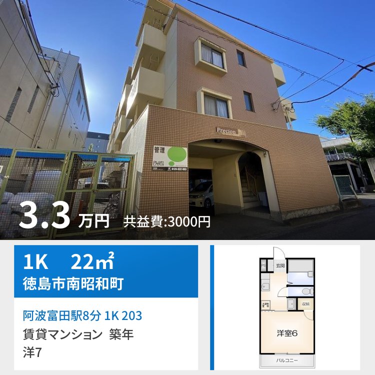 阿波富田駅8分 1K 203