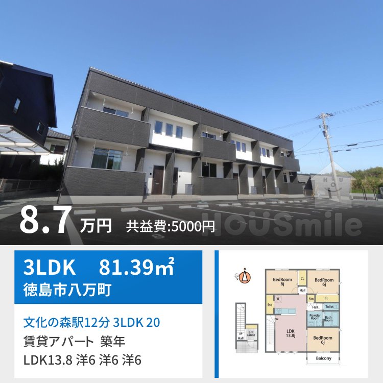 文化の森駅12分 3LDK 203