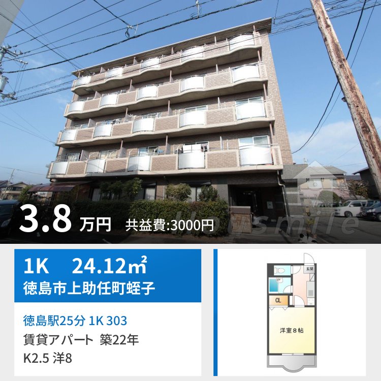 コスモハイムII 303