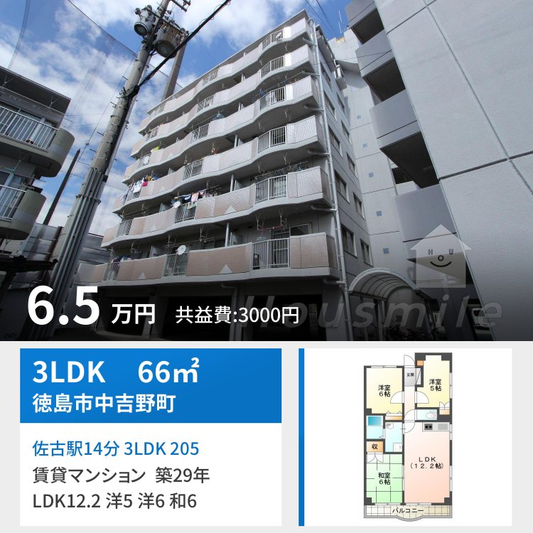 佐古駅14分 3LDK 205