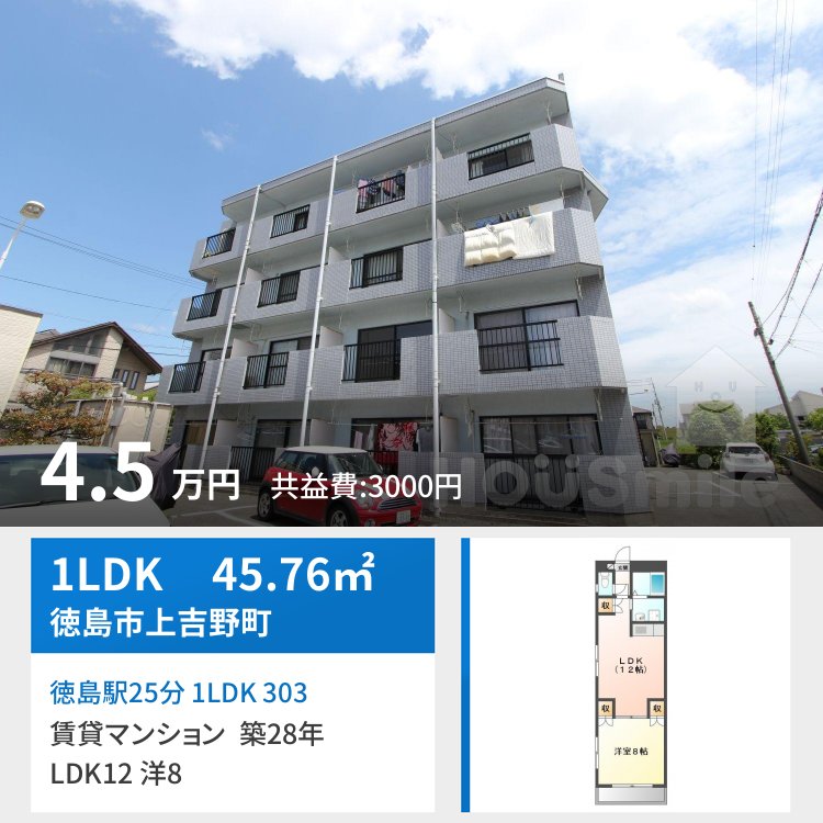 徳島駅25分 1LDK 303