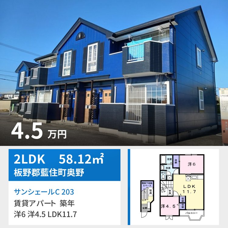 サンシェールC 203