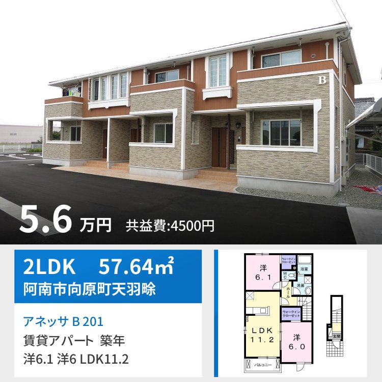 アネッサ B 201