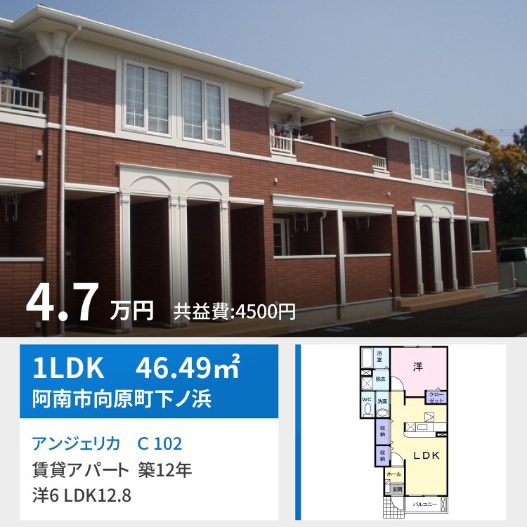 アンジェリカ C 102