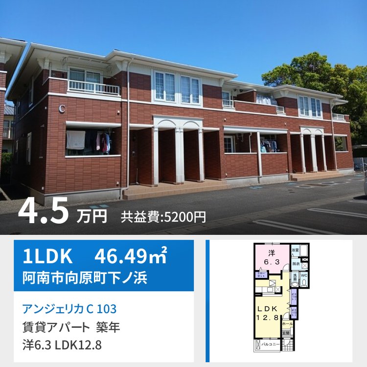 アンジェリカ C 103