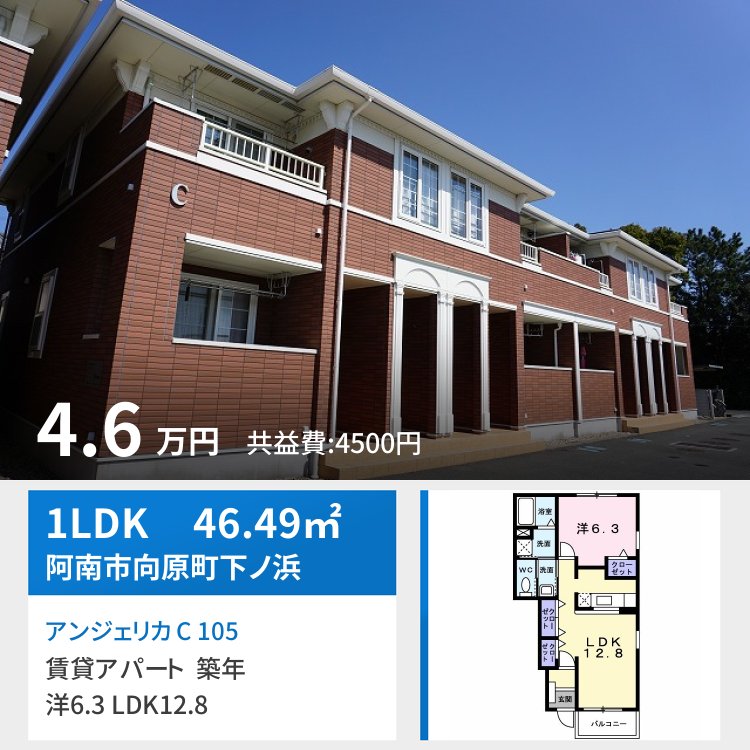 アンジェリカ C 105
