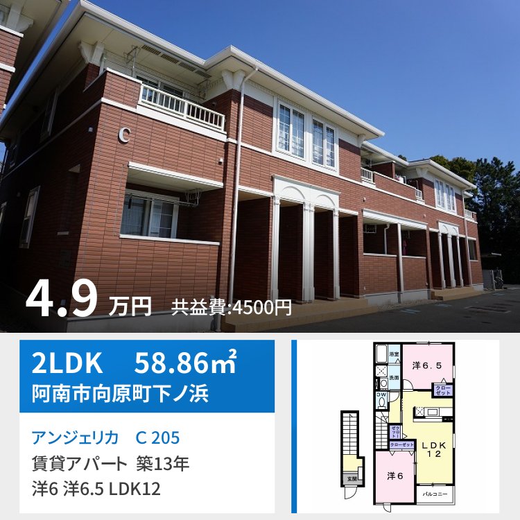 アンジェリカ C 205