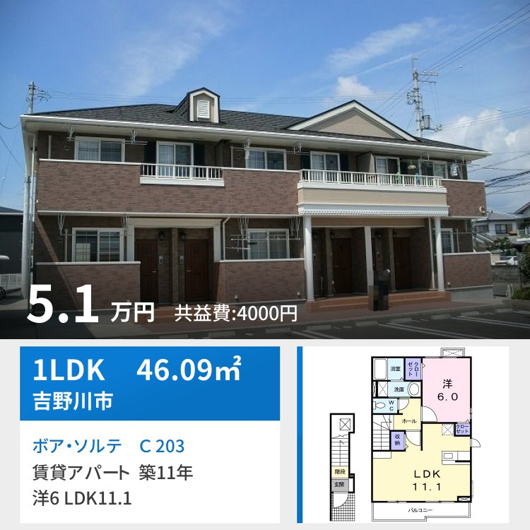 ボア・ソルテ C 203