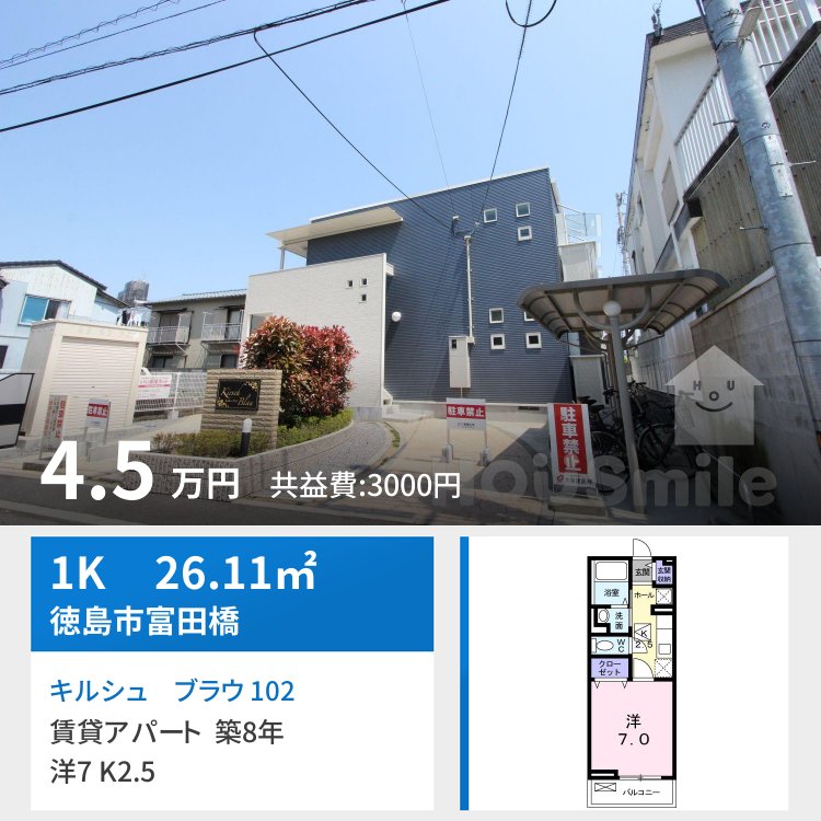 キルシュ ブラウ 102