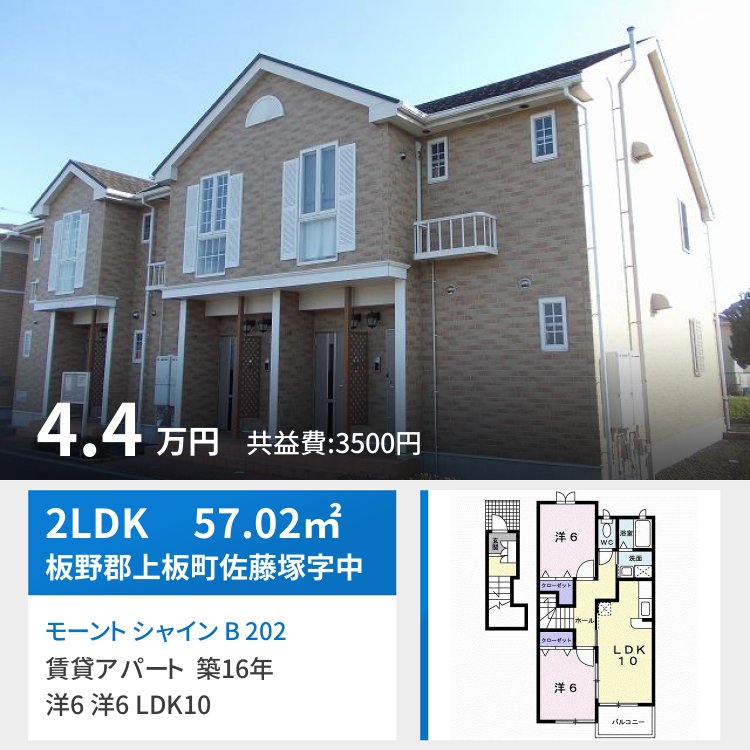 モーント シャイン B 202