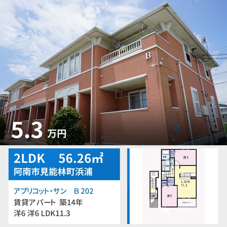 アプリコット・サン B 202