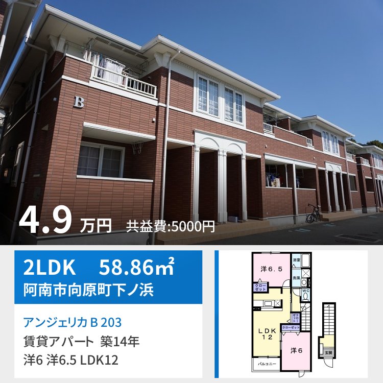 アンジェリカ B 203