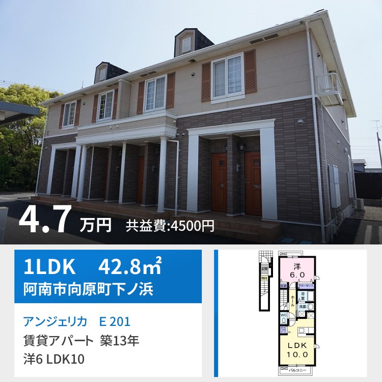 アンジェリカ E 201