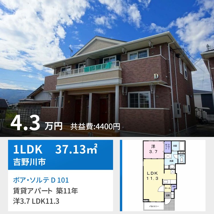 ボア・ソルテ D 101