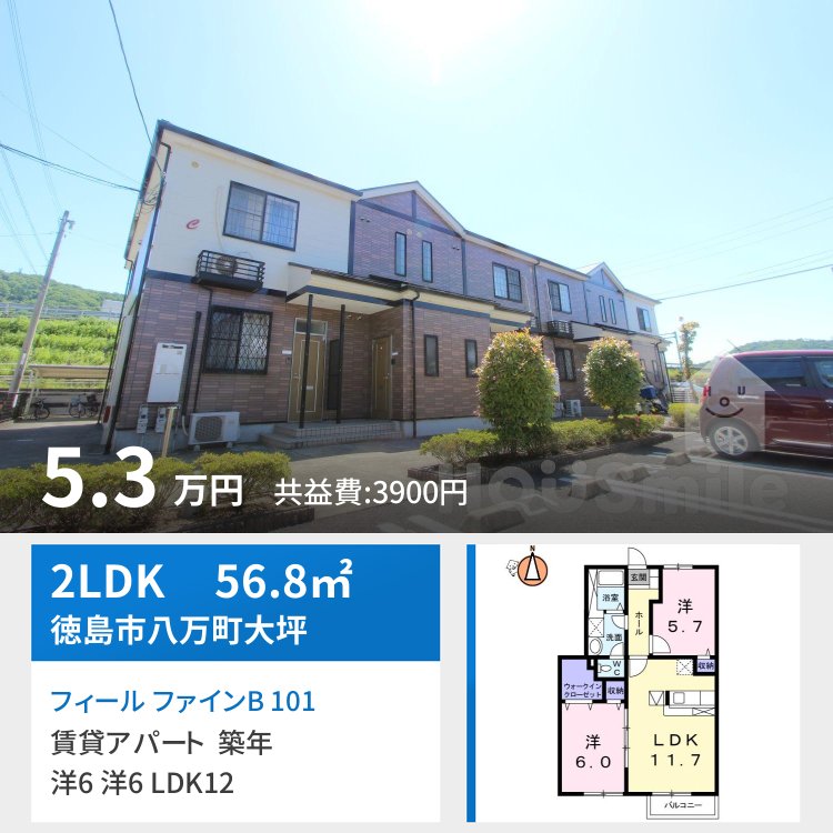 フィール ファインB 101