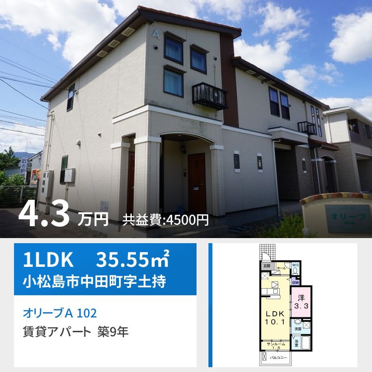 オリーブA 102