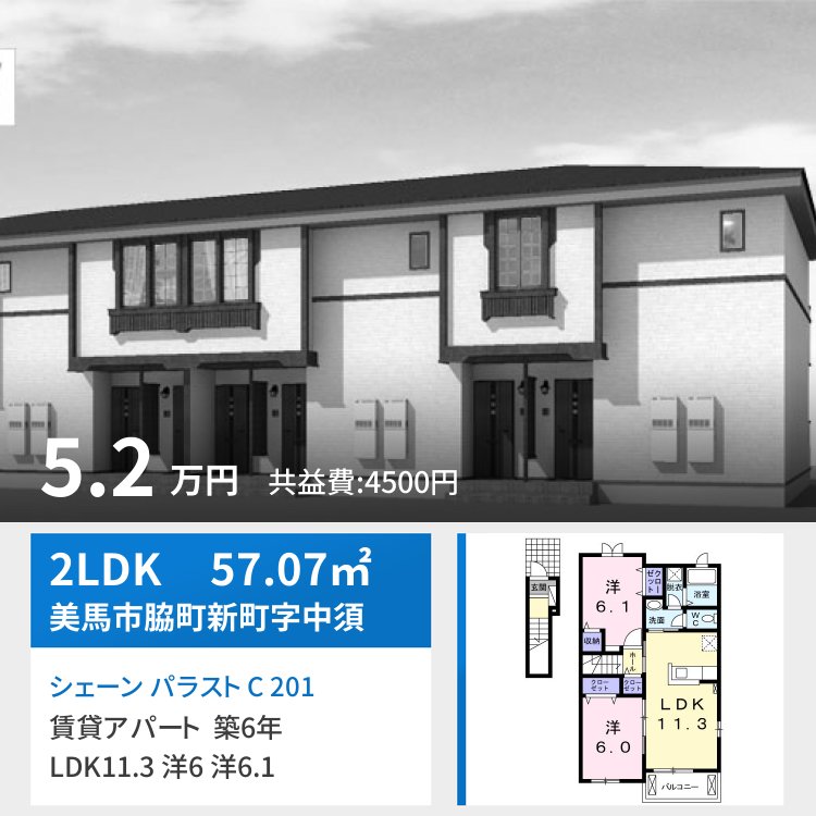 シェーン パラスト C 201