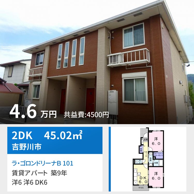 ラ・ゴロンドリーナB 101