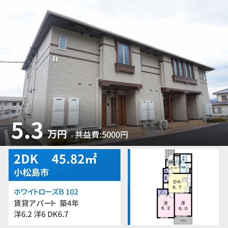 ホワイトローズB 102