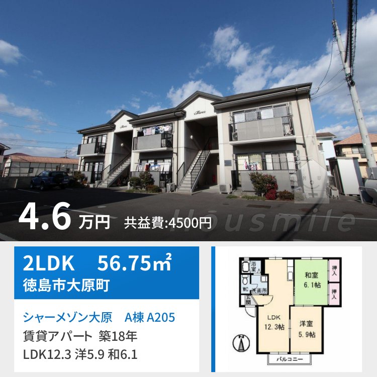 シャーメゾン大原 A棟 A205
