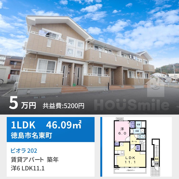 ビオラ 202