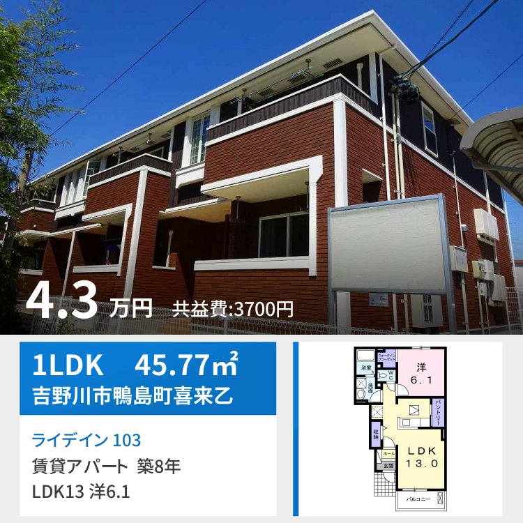 ライデイン 103