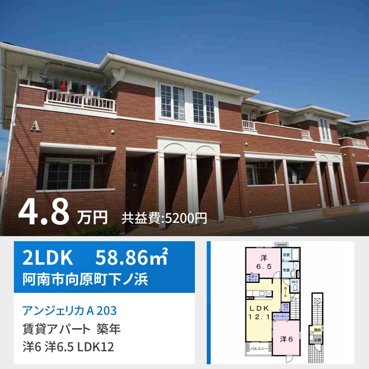 アンジェリカ A 203