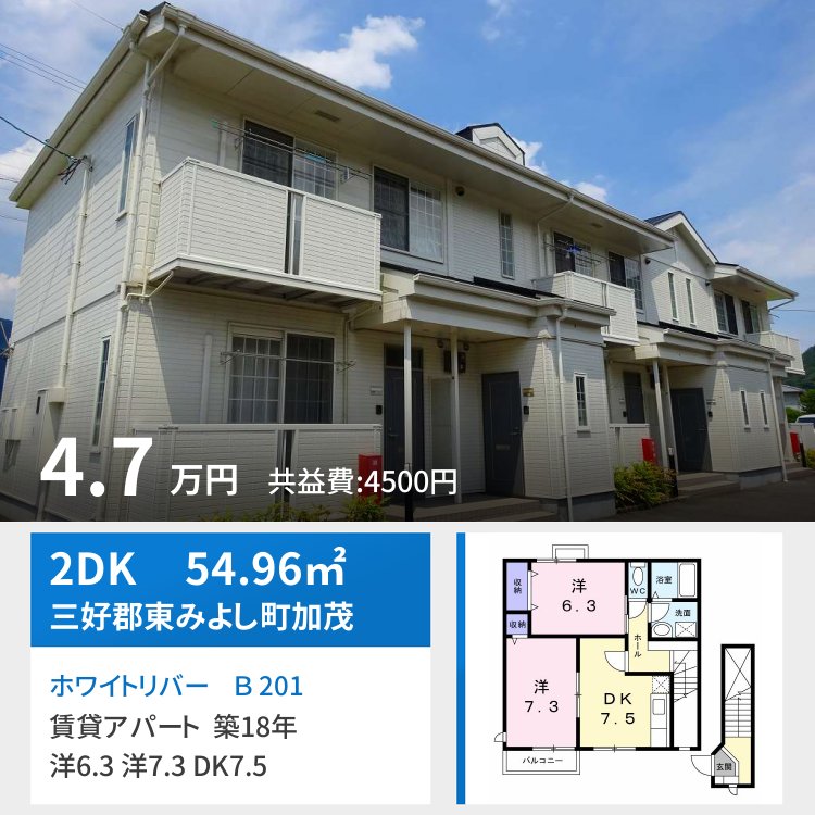 ホワイトリバー B 201