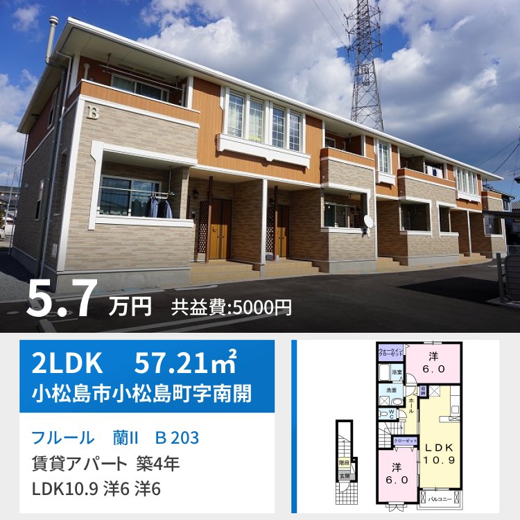 フルール 蘭II B 203