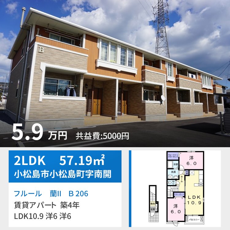 フルール 蘭II B 206