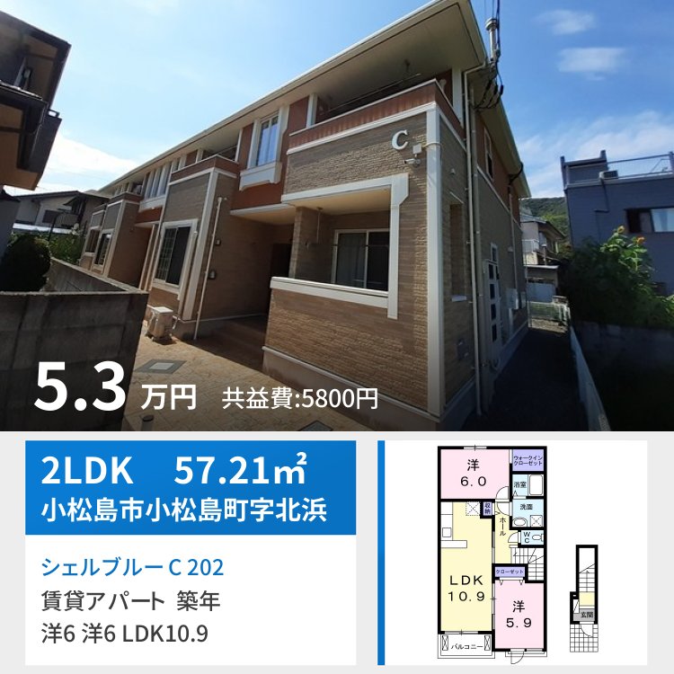 シェルブルー C 202