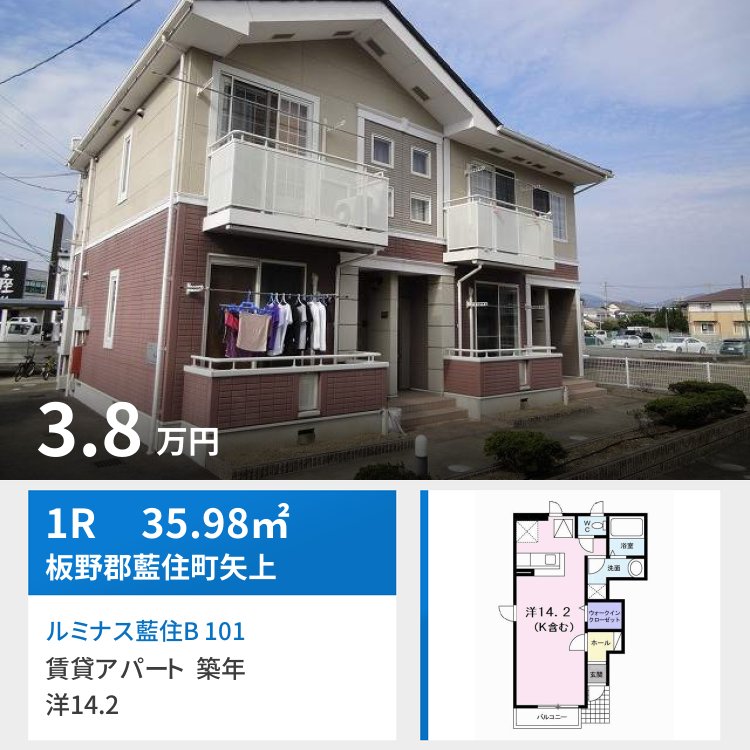 ルミナス藍住B 101