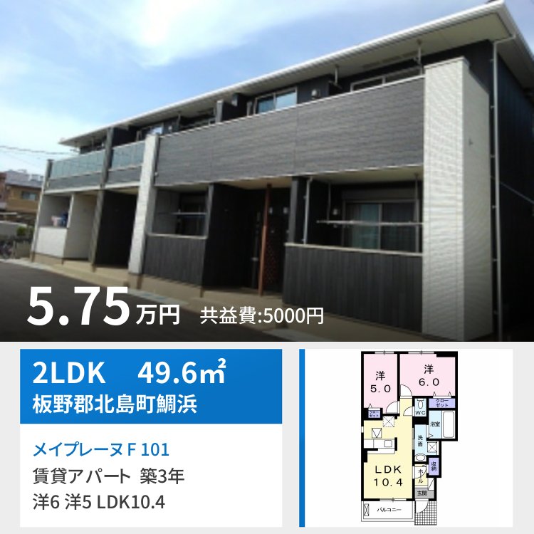 メイプレーヌ F 101