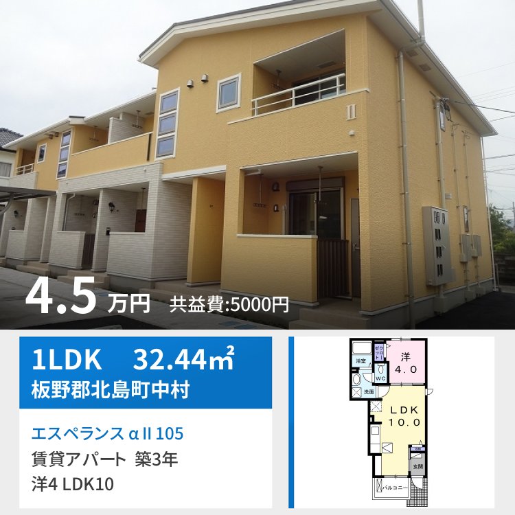 エスペランス α II 105