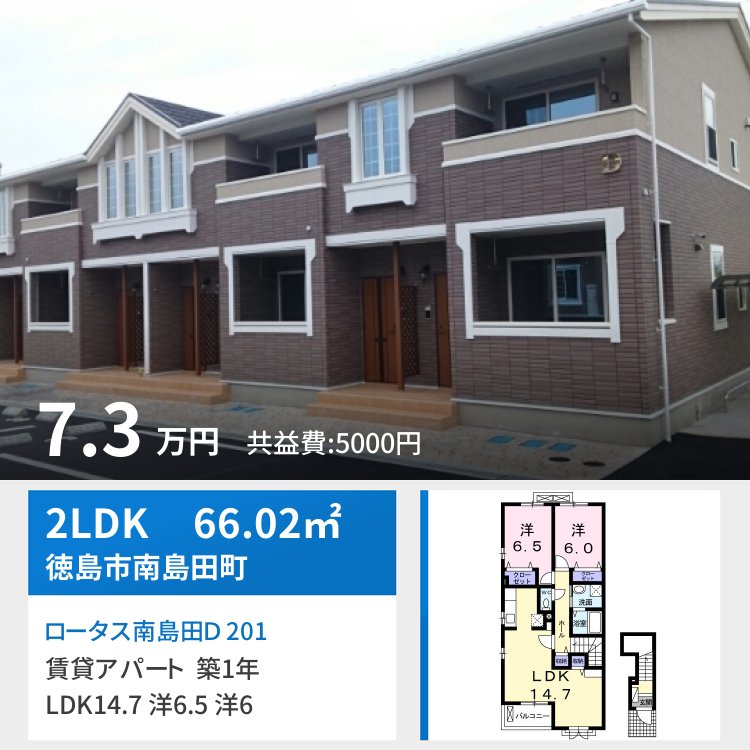 ロータス南島田D 201