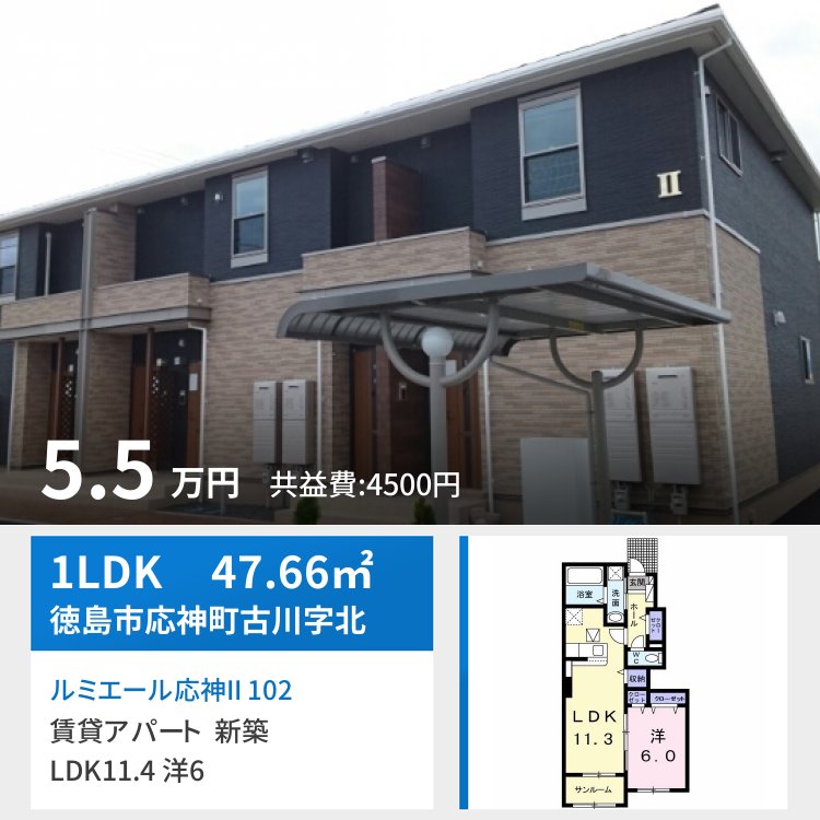 ルミエール応神II 102